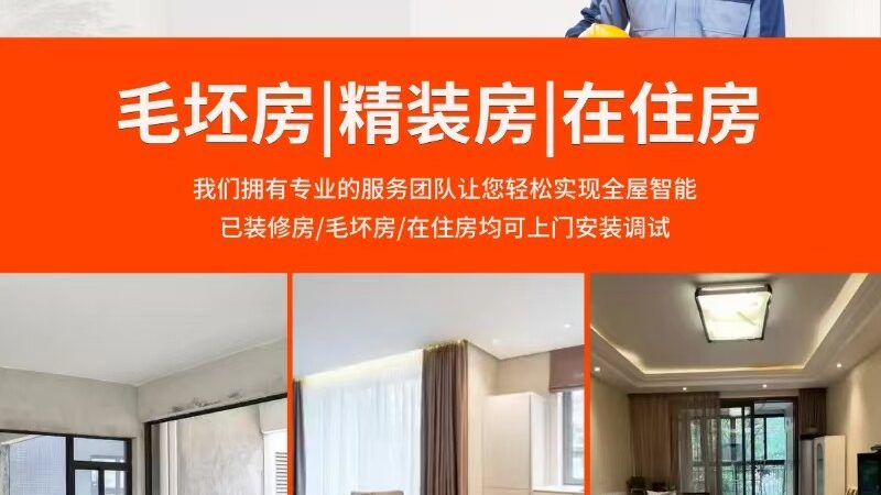 智能家居海外品牌与国产品牌：差异解析与选购要点